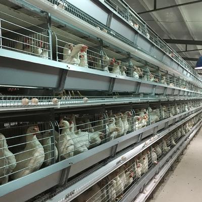 China Easy Clean Chicken Layer Cage Chicken Layer Cage Battery Chicken Layer Cage Philippines Price for sale