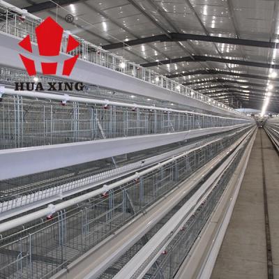 China Automatic Layer Chicken Farms Good Quality A Type Cages Layer Chicken Cage Poultry Farm Equipment for sale