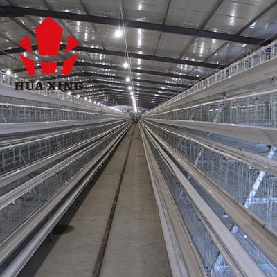 China Reasonable Price A Type Of Farms Professional Design Layer Chicken Cage Cages For Sale Of Layer Chicken Cage for sale