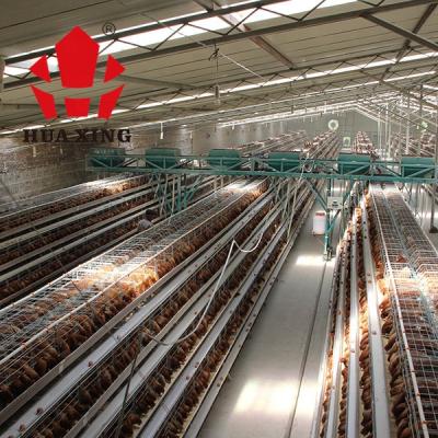 China Africa Chicken Cage Farms Design A Type Layer Chicken Cage For 15000 Capacity For Sale for sale