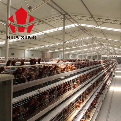 China Cultivate One Layer Chicken Cage Factory Manufacture Design Design Chicken Cage For Poultry Farm for sale