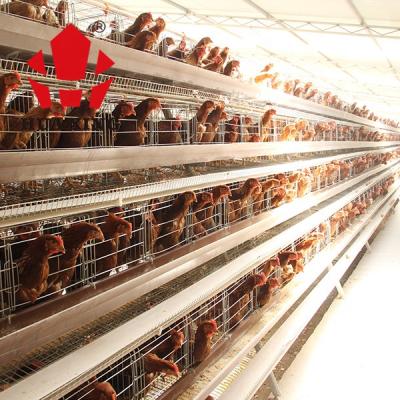 China Farms Automatic Chicken Cage Lowest Price Chinese H Type Layer Chicken Cage Wire Mesh for sale