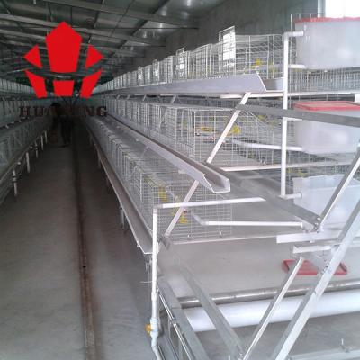 China Farms Low Cost Egg Poultry Farm Building Chicken Cage For Angola Broiler Chicken Cage for sale