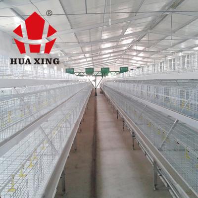 China Easily Space Broiler Cage System Meat Clean Safeguard Broiler Cages For Sale for sale