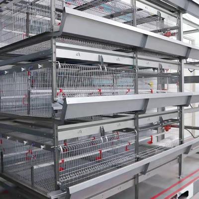 China Full Automatic Conventional Chicks Cage Breeding Cage Poultry Chicks Chick Baby Chick Baby Chicken Days Full Automatic for sale