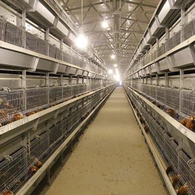 China Corrosion Resistance Pullets Battery Hot Galvanized Baby Chicken Cage One Day Old Chicks Cage for sale