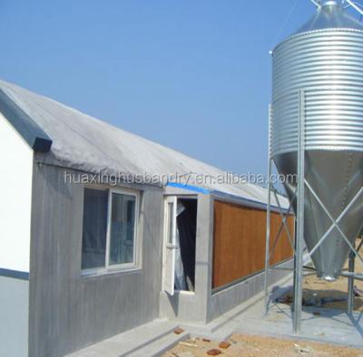 China Chicken Chicken System Feeding Poultry Farm Products , Poultry Farm Shed for sale