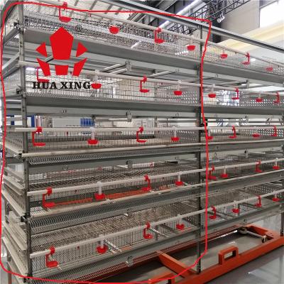 China Poultry Field Quail Cage Quail Cage Equipment Farming Europe Quality in Best Price for sale