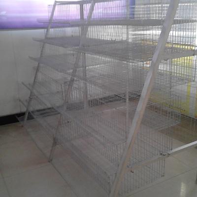 China Farms Hot Dip Layer Galvanized Quail Battery Cage / Egg Quail Poultry Cage With Automatic Watering System for sale