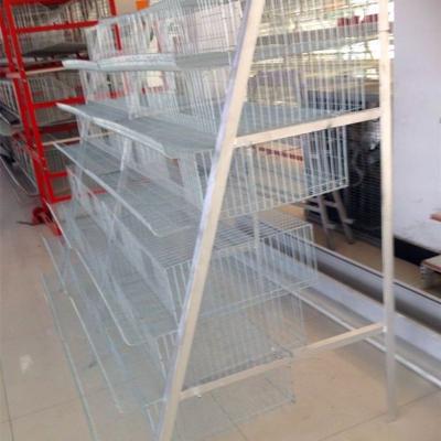 China Farms Hot Galvanized Steel Wire A Type Hen Quail Poultry Cage Laying Quail Battery Cage For Sale for sale