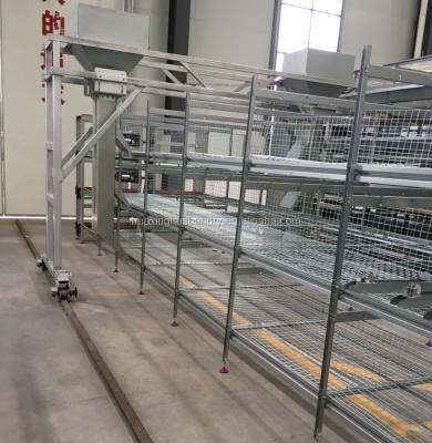 China Best quail cage china design new selling quail layer cage design for sale