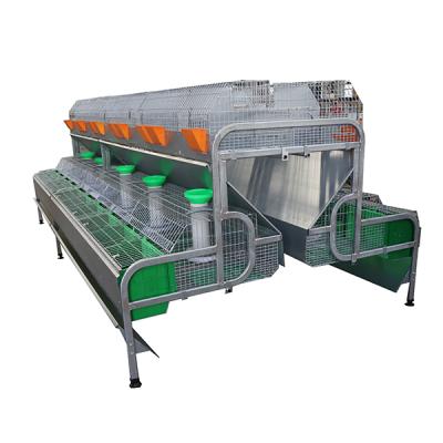 China Cultivate New Design Automatic Rabbit Cage Best Price Commercial Poultry Farm Cage for sale