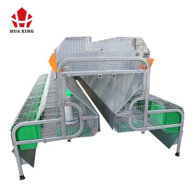 China Poultry Field Automatic Poultry Farm Cage Commercial Cheap Rabbit Cage For Sale for sale