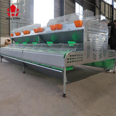 China Hot Dipped Galvanized Poultry Field Poultry Cage Rabbit Cage With Drinking Systems In Nigeria Africa for sale