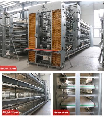 China Cultivates automatic egg collection system/A type/H type for sale