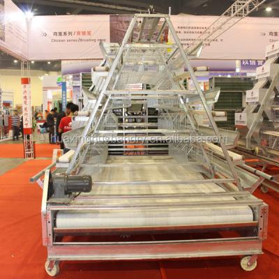 China Sterilization / Disinfection High Quality Clean Chicken Manure Machine With PP Belt for sale