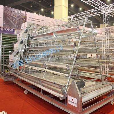 China Sterilizing / Disinfecting Belt Conveyor System Used For Philippines Chicken House for sale