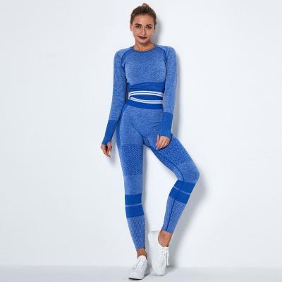 China Breathable Seamless Fitness Yoga Wear Jogger Set Tops Stripe Hollow Out Leggings Shorts Yoga Set Sportswear for sale