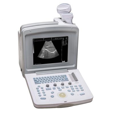 China Metal 15 Inch Medical Trolley 3D Heart Ultrasound Diagnostic Instrument High Performance for sale