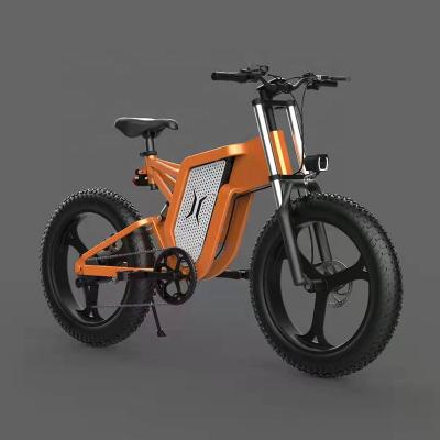 China Aluminum alloy other electric bike 1000w 48V electric motorcycle REALMAX MA-20 for sale