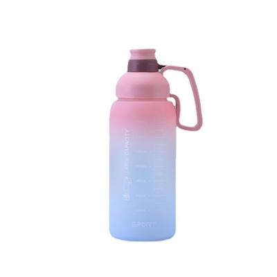 China Sk-1009 PORTABLE Drinking Direct Flip Lid Portable Tritan Frosted Plastic Water Bottle for sale