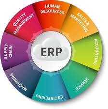 China 4 GB Min HDD ERP System Includes Financial /  Human Resources / Management Modules for sale