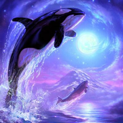 China Cartoon Diy 5d Diamond Painting Kits For Adults Flame Full Diamond Painting Animal Kit Dolphins Diamond Painting Kit Gift Customized for sale