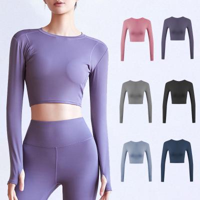 China Breathable Sports Fitness Long Stretch Leotard Explosive Running Large Size Thin Breathable Yoga Clothes Women Top for sale