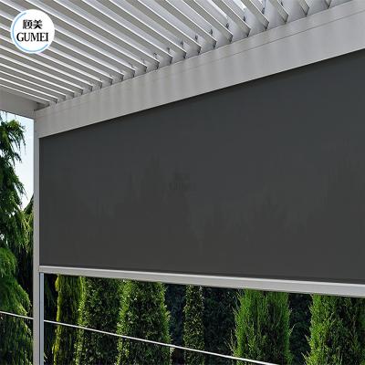 China Hot Sale Outdoor Sunshade Shade Aluminium Windproof Garden Motorized Roller Shades Blinds for sale