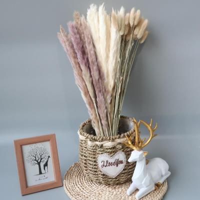 China Bunny Tails Natural Decorative Pampas Grass Tail Flower Bouquet Handmade Petals Dried Flowers and Plants for sale