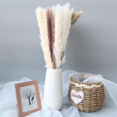 China Handmade Flowers and Plants Dry Bunny Tails Grass Tail Pampas Packet Dry Flower Bouquet Preserved by Natural Wholesalers for sale