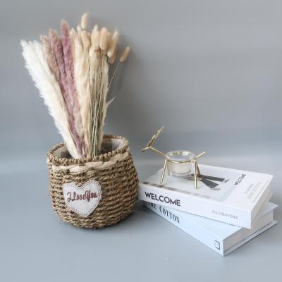 China Handmade Dried And Plants Flower Wholesalers Preserved Bouquet Pampas Grass Natural Decorative Petals Bunny Tail Dry Flowers for sale