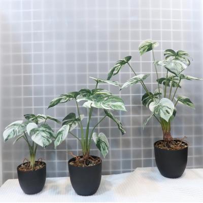 China Handmade Artificial Foliage Faux Real Touch Stems Plastic Silk Decorative Monstera Leaves Turtle Leaf Plants Potting Greenery for sale