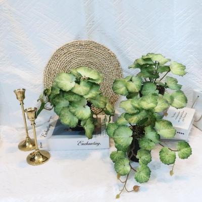 China Handmade Wedding Decoration Supplies Natural Home Room Decorations Artificial Plants Wall Decor for sale