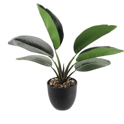 China Decorative Plastic Luxury Seasonal Fake Musa Plant Home Decor Potted Greenery Plants Handmade Artificial Real Touch Foliage for sale