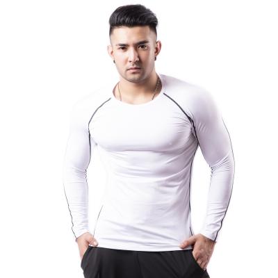 China Factory Factory Sports Sports Pants Fitness Round Neck Long Sleeve Yoga Tight Quick Dry Breathable Tight Professional Breathable Long Sleeve for sale