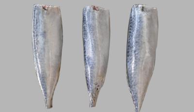 China Frozen Pacific Mackerel HGT for sale