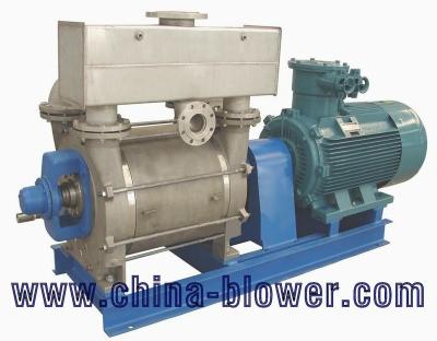 China 2BE Series Liquid Vacuum Ring Vacuum Pump Becker Vacuum Pump Elmo Products for sale