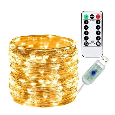 China Warm white Hot sell, Led Copper Wire String Lights Usb Plug-in Fairy Lights With Remote 1 buyer for sale