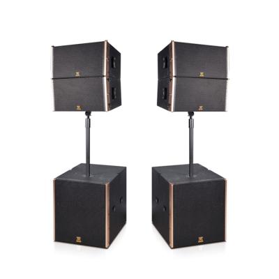 中国 Concert 10 Inch Active Line Array Speakers Professional Sound System With DSP Processor 販売のため