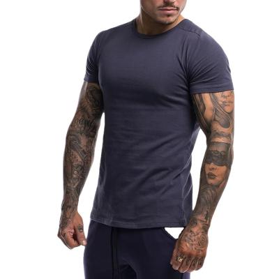 China 2022 Leisure Anti-Shrink Sports Training Clothes Men's Gym Shorts Sleeves Absorption Fitness Breathable Sweat T-Shirt for sale