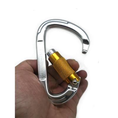 China D-shape Self-locking Carabiner Lock Pet Aviation Aluminum Swing Key Hook Climbing Raising Carabiner Clips for sale