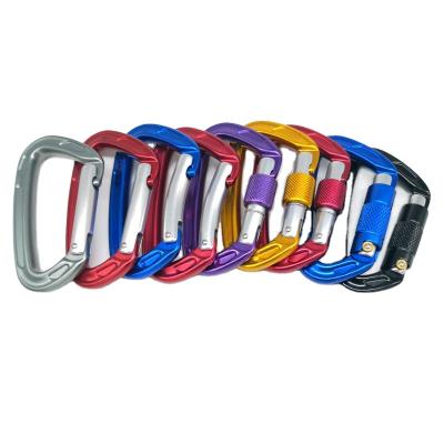 China Pet Climbing Buckle 24KN Security Aluminum Alloy D Lock Buckle Outdoor Rescue Carabiner for sale