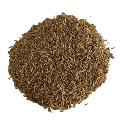 China Top quality cumin seed dry natural spice herb price premium cumin seed suppliers seeds cumin powder herbs and spices for sale