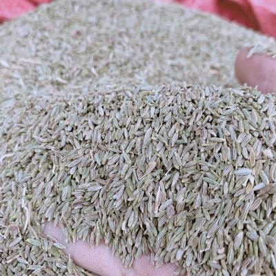 China Top Selling Natural Dry Sortex Quality Spice Herb Price Of Cumin Seeds Cumin Powder Herbs And Spices for sale