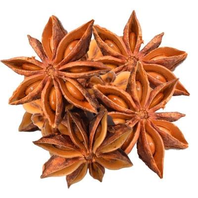 China Best Quality Dried Anise Seeds Star Anise Autumn /Spring Cultivation Star Anise Aniseed Chinese HERBS & SPICES for sale