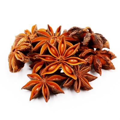 China Factory Wholesale Dry Spice Cooking Healthy Herbal Fresh Anise And Star Anise Tea for sale