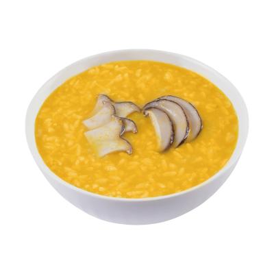 China Good quality healthy instant breakfast porridge pumpkin rice congee for sale