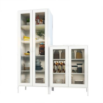 China (Size) Modern Adjustable Metal Living Room Bookcase Cabinet With Doors Adjustable Shelves Glass Bookcase Wall for sale