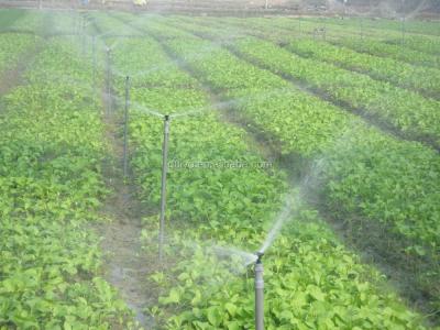 China Hot-selling agriculture agriculture water sprinkler for irrigation for sale